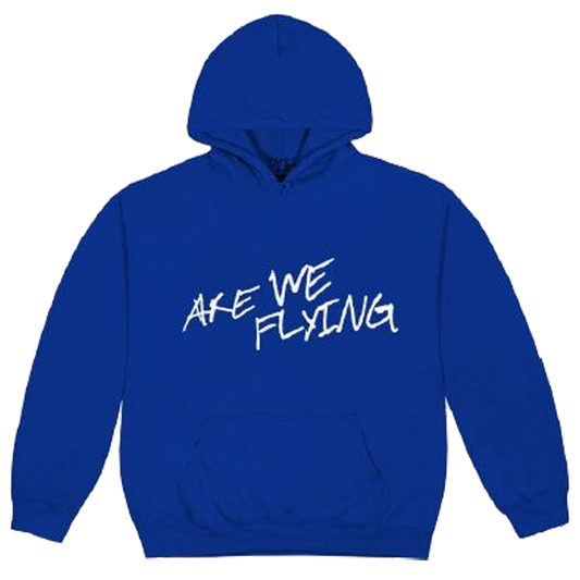 Are We Flying 2023 Tour Hoodie-Tate McRae